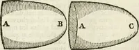 An illustration from Philosophia Moysaica : in qua sapientia & scientia creationis & creaturarum sacra veréque Christiana (vt pote cujus basis sive fundamentum est unicus ille lapis angularis Iesus Christus) ad amussim & enucleaté explicatur (1638)