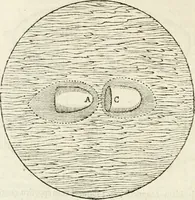 An illustration from Philosophia Moysaica : in qua sapientia & scientia creationis & creaturarum sacra veréque Christiana (vt pote cujus basis sive fundamentum est unicus ille lapis angularis Iesus Christus) ad amussim & enucleaté explicatur (1638)