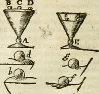 An illustration from Philosophia vetus et nova : ad usum scholae accommodata, in Regia Burgundia olim pertractata (1684)