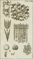An illustration from Philosophia vetus et nova : ad usum scholae accommodata, in Regia Burgundia olim pertractata (1684)