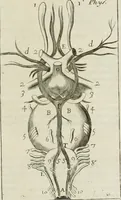 An illustration from Philosophia vetus et nova : ad usum scholae accommodata, in Regia Burgundia olim pertractata (1684)