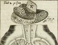 An illustration from Philosophia vetus et nova : ad usum scholae accommodata, in Regia Burgundia olim pertractata (1684)