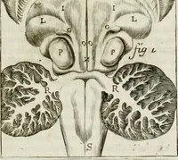 An illustration from Philosophia vetus et nova : ad usum scholae accommodata, in Regia Burgundia olim pertractata (1684)