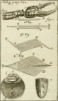 An illustration from Philosophia vetus et nova : ad usum scholae accommodata, in Regia Burgundia olim pertractata (1684)
