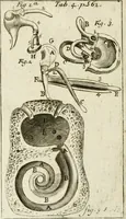 An illustration from Philosophia vetus et nova : ad usum scholae accommodata, in Regia Burgundia olim pertractata (1684)