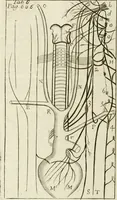 An illustration from Philosophia vetus et nova : ad usum scholae accommodata, in Regia Burgundia olim pertractata (1684)