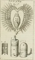 Picture 64 of 69 from Philosophia vetus et nova : ad usum scholae accommodata, in Regia Burgundia olim pertractata (1684), leaf 646