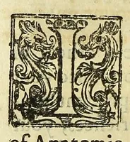 Picture 14 of 15 from The philosophical and physical opinions (1655), leaf 126