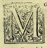 An illustration from The philosophical and physical opinions (1655)