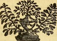 An illustration from Philosophical transactions of the Royal Society of London (1666)