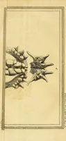 An illustration from Philosophical transactions of the Royal Society of London (1666)