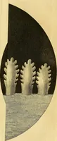 Picture 36 of 60 from Philosophical transactions of the Royal Society of London (1666), leaf 346