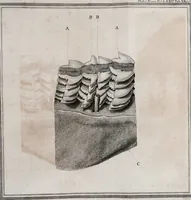 An illustration from Philosophical transactions of the Royal Society of London (1666)