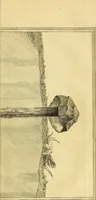Picture 46 of 60 from Philosophical transactions of the Royal Society of London (1666), leaf 506