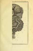 An illustration from Philosophical transactions of the Royal Society of London (1666)
