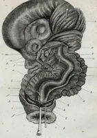 An illustration from Philosophical transactions of the Royal Society of London (1666)
