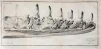 Picture 26 of 27 from Philosophical transactions of the Royal Society of London (1666), leaf 539
