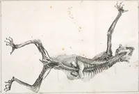 Picture 2 of 71 from Philosophical transactions of the Royal Society of London (1666), leaf 122