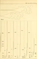 Picture 5 of 71 from Philosophical transactions of the Royal Society of London (1666), leaf 174