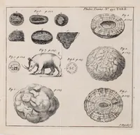 Picture 3 of 19 from Philosophical transactions of the Royal Society of London (1665), leaf 109