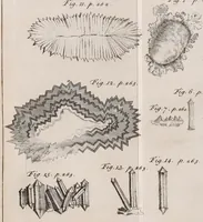 An illustration from Philosophical transactions of the Royal Society of London (1665)