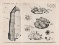 Picture 10 of 19 from Philosophical transactions of the Royal Society of London (1665), leaf 231