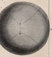 Picture 17 of 19 from Philosophical transactions of the Royal Society of London (1665), leaf 595