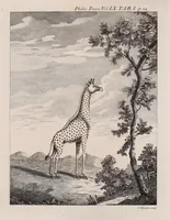 Picture 1 of 11 from Philosophical transactions of the Royal Society of London (1665), leaf 51