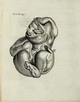 Picture 3 of 6 from Philosophical transactions of the Royal Society of London (1676), leaf 456