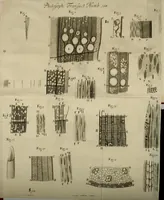 Picture 4 of 5 from Philosophical transactions of the Royal Society of London (1683), leaf 226