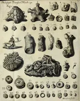 Picture 5 of 5 from Philosophical transactions of the Royal Society of London (1683), leaf 312