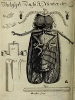 Picture 1 of 5 from Philosophical transactions of the Royal Society of London (1685), leaf 8