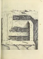 Picture 2 of 8 from Philosophical transactions of the Royal Society of London (1686), leaf 245