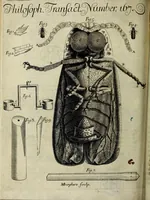Picture 8 of 8 from Philosophical transactions of the Royal Society of London (1686), leaf 492