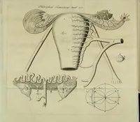 Picture 5 of 6 from Philosophical transactions of the Royal Society of London (1694), leaf 261