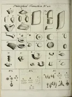 Picture 7 of 8 from Philosophical transactions of the Royal Society of London (1695), leaf 310
