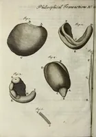 An illustration from Philosophical transactions of the Royal Society of London (1695)