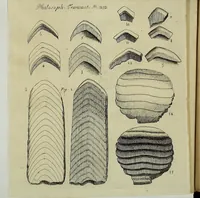 Picture 15 of 20 from Philosophical transactions of the Royal Society of London (1695), leaf 726
