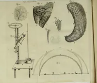 Picture 4 of 9 from Philosophical transactions of the Royal Society of London (1699), leaf 188