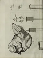 An illustration from Philosophical transactions of the Royal Society of London (1700)