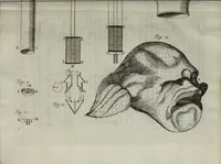 An illustration from Philosophical transactions of the Royal Society of London (1700)