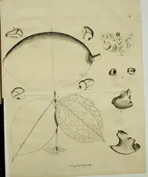 Picture 1 of 11 from Philosophical transactions of the Royal Society of London (1700), leaf 83