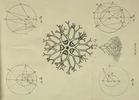 An illustration from Philosophical transactions of the Royal Society of London (1670)
