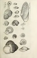 Picture 4 of 6 from Philosophical transactions of the Royal Society of London (1675), leaf 113
