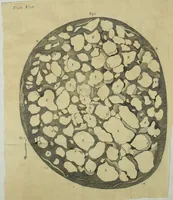 An illustration from Philosophical transactions of the Royal Society of London (1675)