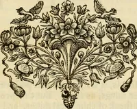 An illustration from The philosophical works of the Honourable Robert Boyle esq.: abridged, methodized, and disposed under the general heads of physics, statics, pneumatics, natural history, chymistry, and medicine (1725)