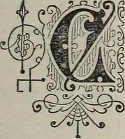 An illustration from Philosophic chiromancy. Mysteries of the hand revealed and explained: the art of determining, from an inspection of the hands, the person's temperature, appetites, passions, impulses, aspirations, mental endowments, character and tendencies (1879)