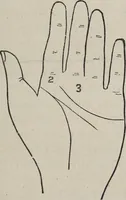 An illustration from Philosophic chiromancy. Mysteries of the hand revealed and explained: the art of determining, from an inspection of the hands, the person's temperature, appetites, passions, impulses, aspirations, mental endowments, character and tendencies (1879)