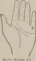 An illustration from Philosophic chiromancy. Mysteries of the hand revealed and explained: the art of determining, from an inspection of the hands, the person's temperature, appetites, passions, impulses, aspirations, mental endowments, character and tendencies (1879)
