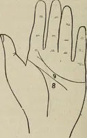 An illustration from Philosophic chiromancy. Mysteries of the hand revealed and explained: the art of determining, from an inspection of the hands, the person's temperature, appetites, passions, impulses, aspirations, mental endowments, character and tendencies (1879)